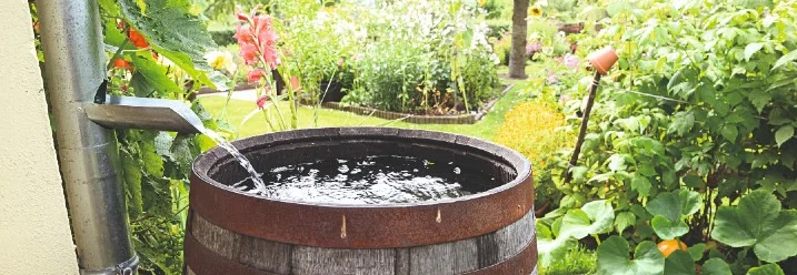 Regenrinne füllt Regentonne im Garten